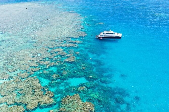 Great Barrier Reef With Cultural Guides-Dreamtime Dive & Snorkel - Unique Educational Experiences Offered