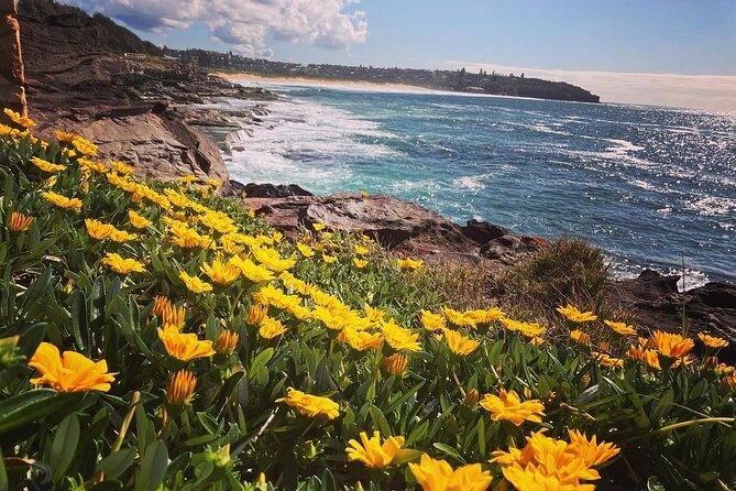 Guided Walk in North Head, Manly With Nature, History and Culture - Taking in Local Culture