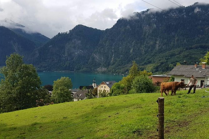 Hallstatt Small-Group Day Trip From Vienna - Booking Information