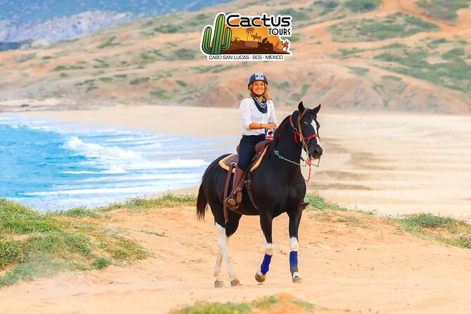 Horseback Riding Beach and Desert in Cabo by Cactus Tours Park - Safety and Accessibility