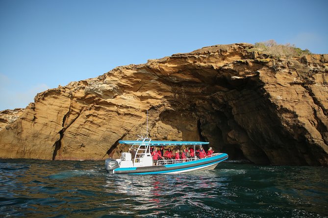 Hunter Coastal Adventure Tour by Boat From Newcastle - Departure and Meeting Point