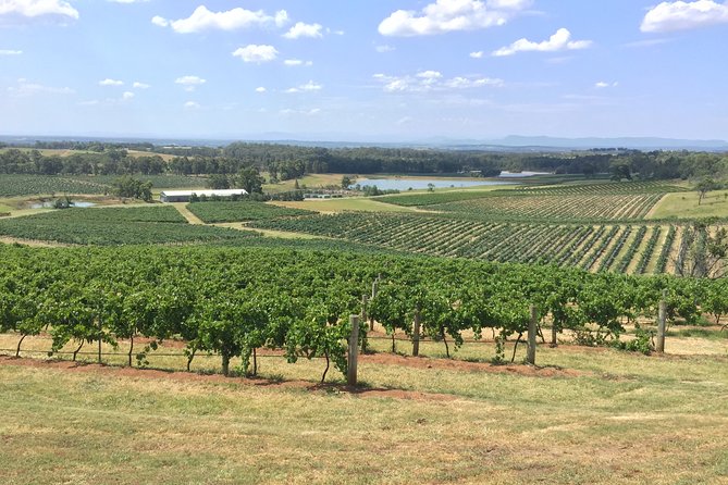 Hunter Valley Wine Tasting Private Tour From Sydney - Enjoy a Customized Itinerary