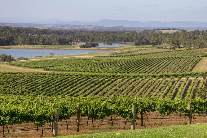 Hunter Valley Wine Tour From Sydney With Lunch and 3 Cellar Door Tastings - Wine Tasting Experience