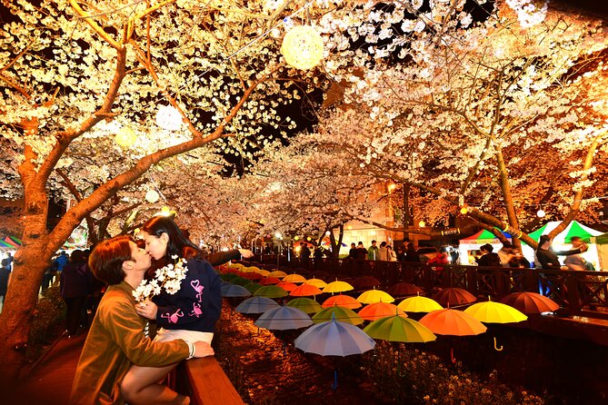 Jinhae Cherry Blossom Festival Tour - Reviews and Ratings