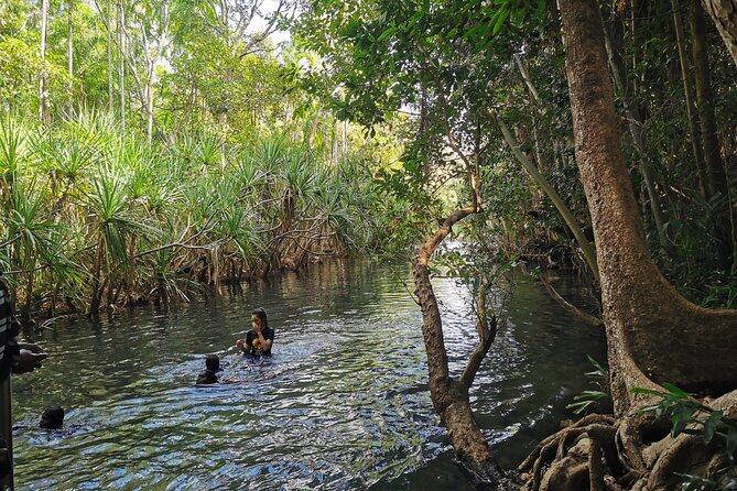 Jumping Croc Cruise, Berry Springs, Fogg Dam & Humpty Doo Pub - Crocodile Encounters on the Water