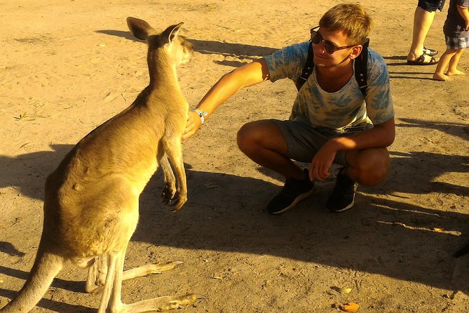 Kangaroo & Sunset Scooter Tour - Riding the Scooter Safely