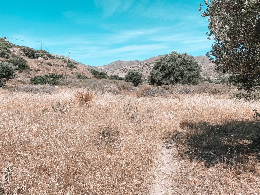 Karpathos: Easy Guided Nature and Culture Hike in Pigadia - Inclusions