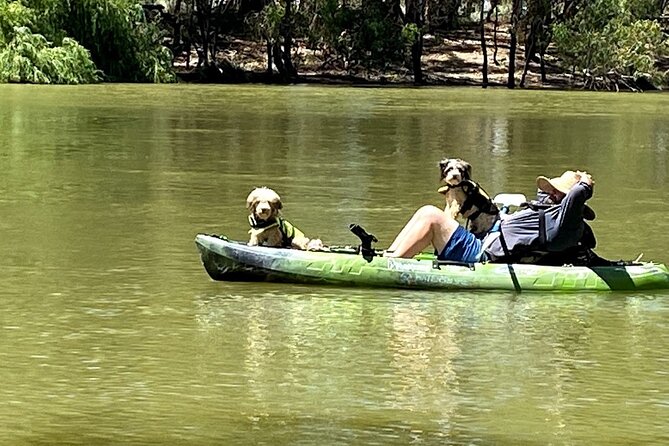 Kayak Self-Guided Tour on the Campaspe River Elmore, 30 Minutes From Bendigo - Pre-Tour Preparation Checklist