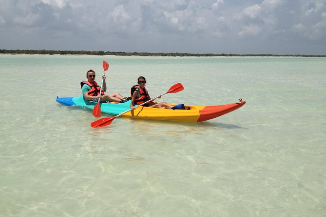 Kayaking Tour Through the Mangroves in Isla Holbox - Customer Reviews and Feedback