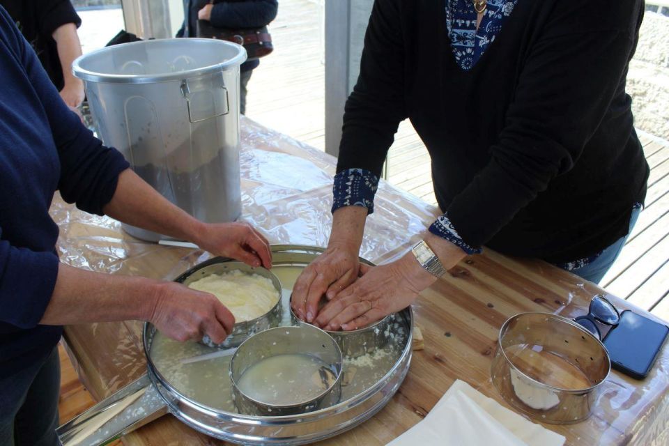 Lisbon: Azeitão Cheese Workshop With Wine & Food Tasting - Private Group Activities