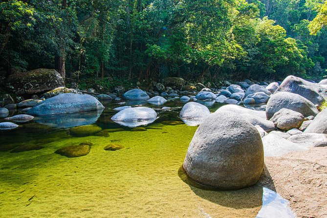 Luxury Daintree - Cape Tribulation Tour From Port Douglas - Delicious Inclusions and Refreshments