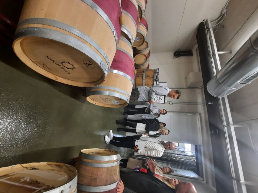 Mallorca: Wine Cellar Tour XL - 3 Wine Tastings Included - Customer Reviews