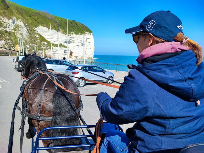 MENTHEVILLE : Horse-Drawn Carriage Ride in the Countryside - Exploring the Scenic Route