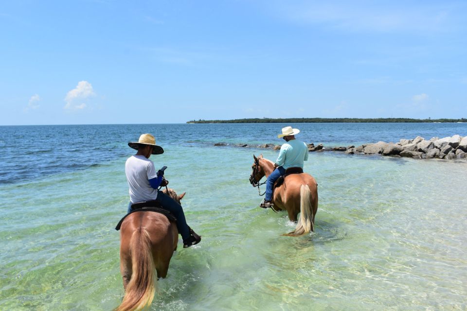Miami: Beach Horse Ride & Nature Trail - Detailed Experience Description