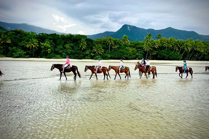 Mid-Morning Beach Horse Ride in Cape Tribulation - Horse Riding Experience Overview