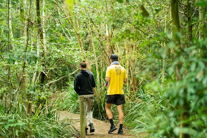 Minyon Falls: Explore the Rainforest - Byron Bay Tour Highlights