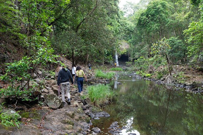 Minyon Falls Full-Day Walking Tour - Health and Safety Guidelines