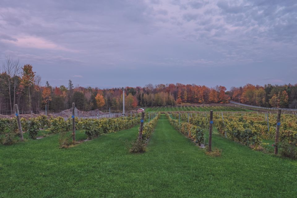 Montreal: the Capital of Urban Agriculture - La Centrale Agricole: Urban Agriculture Cooperative