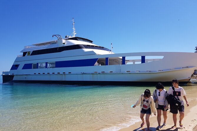 Moreton Island Day Trip (Kayak, Snorkel & Sandboard) Frm Brisbane or Gold Coast - Activities and Equipment