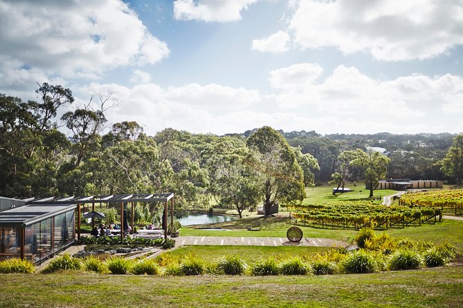 Mornington Peninsula Luxury Lunch, Wine Tasting & Pt Leo Art Walk - Transportation and Logistics