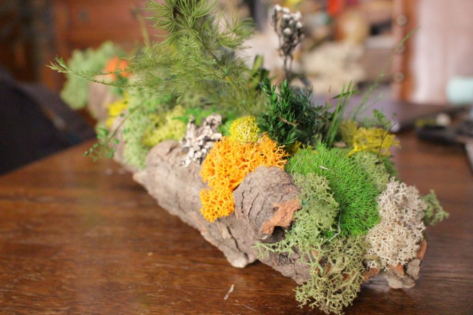 Moss and Foliage Arrangement Workshop - Workshop Activities