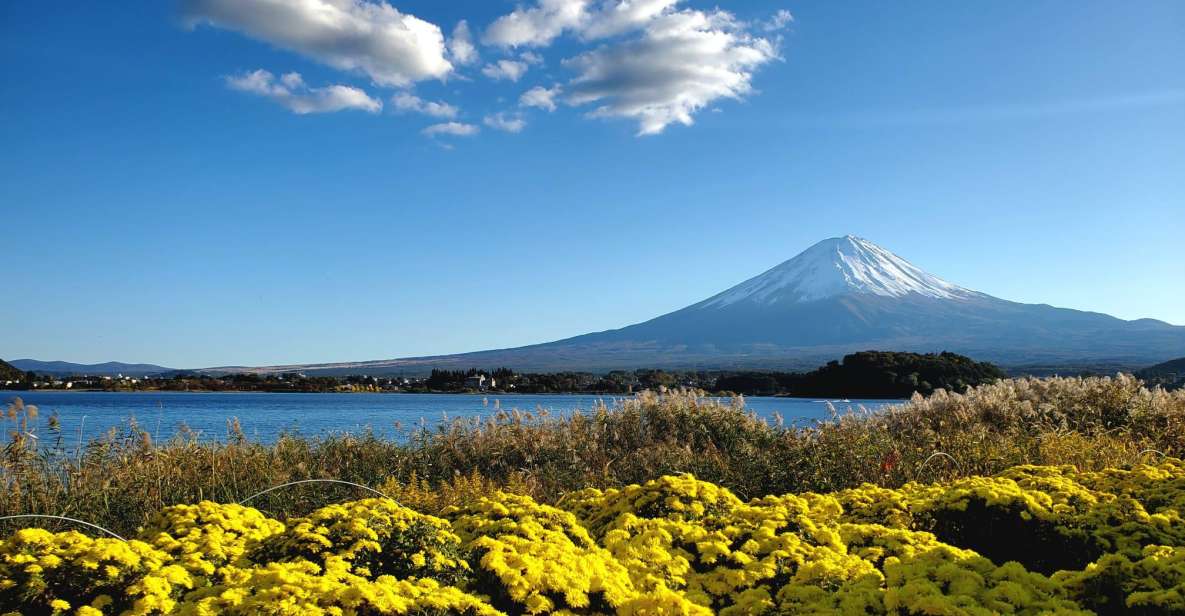 Mt Fuji: Full Day Private Tour With English Guide - Full Tour Description