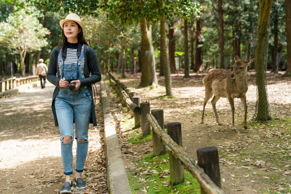 Nara's Historical Wonders: A Journey Through Time and Nature - Explore Kasuga Taisha Shrine