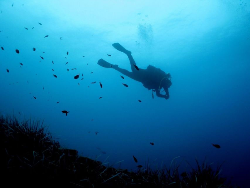 Nea Makri: Open-Water Diving Advanced PADI Course - Dive Location and Provider