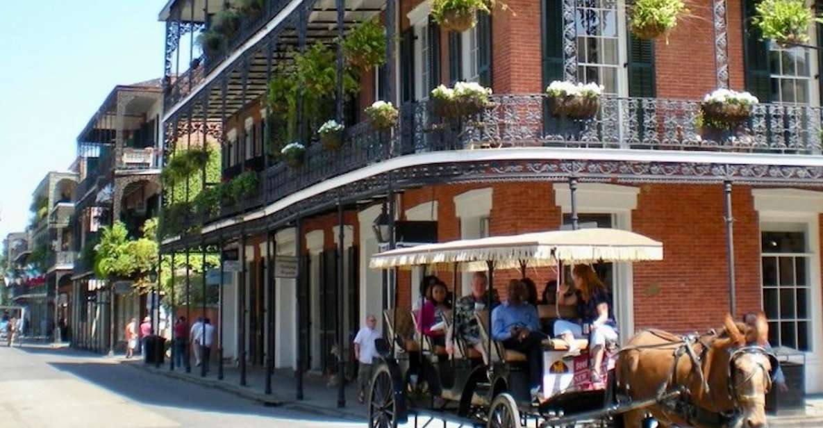 New Orleans: Food Walking Tour & Cooking Class Experience - Important Information