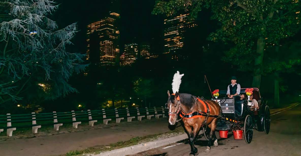 NYC MOONLIGHT HORSE CARRIAGE RIDE Through Central Park - Full Description of the Activity