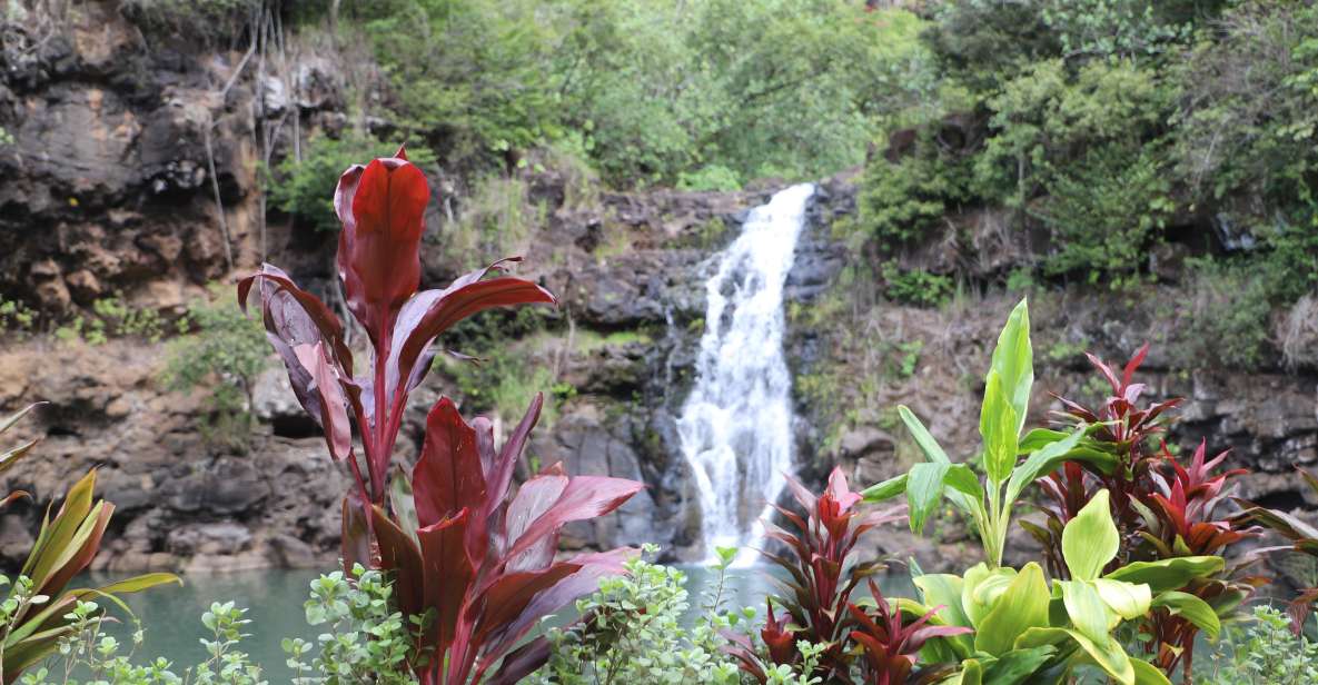 Oahu: Valley of Waimea Falls Swim & Hike With Lunch & Dole - Lunch at Waimea Valley