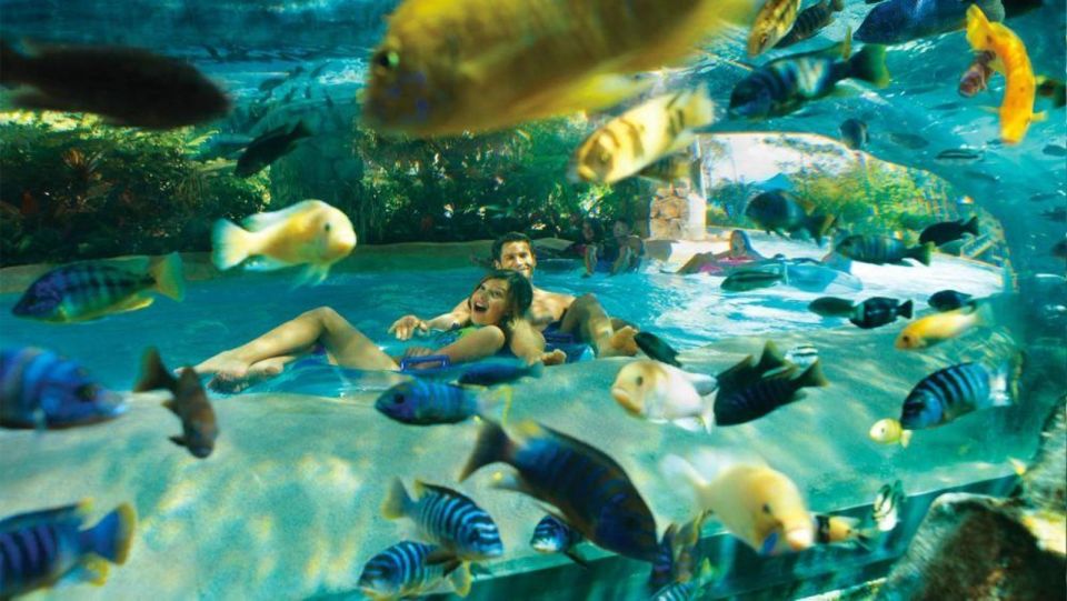 Orlando: Aquatica Water Park Admission Ticket - Full Description of Aquatica Water Park