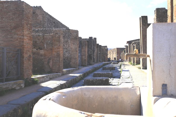 Pompeii and Herculaneum Private Tour With Native Guide and Skip the Line Tickets - Pricing