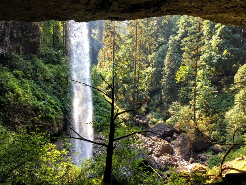 Portland: Silver Falls Hike and Wine Tour - Experience Highlights