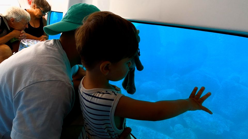 Porto: Discovery of Marine Fauna and Flora/Bay of Porto - Exploring the Bays Natural Reserve