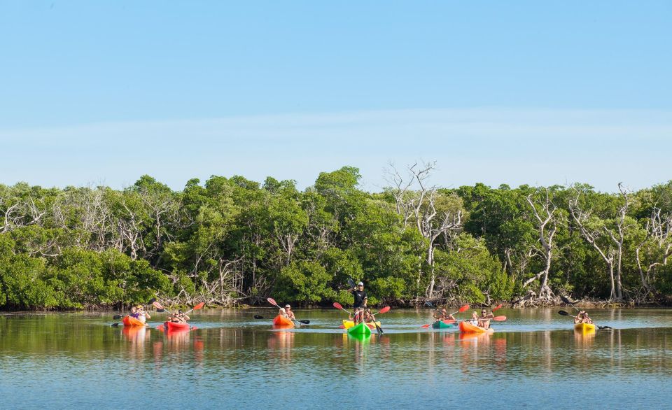 Premium Day Sail, Snorkel &, Kayak With Lunch - What to Bring