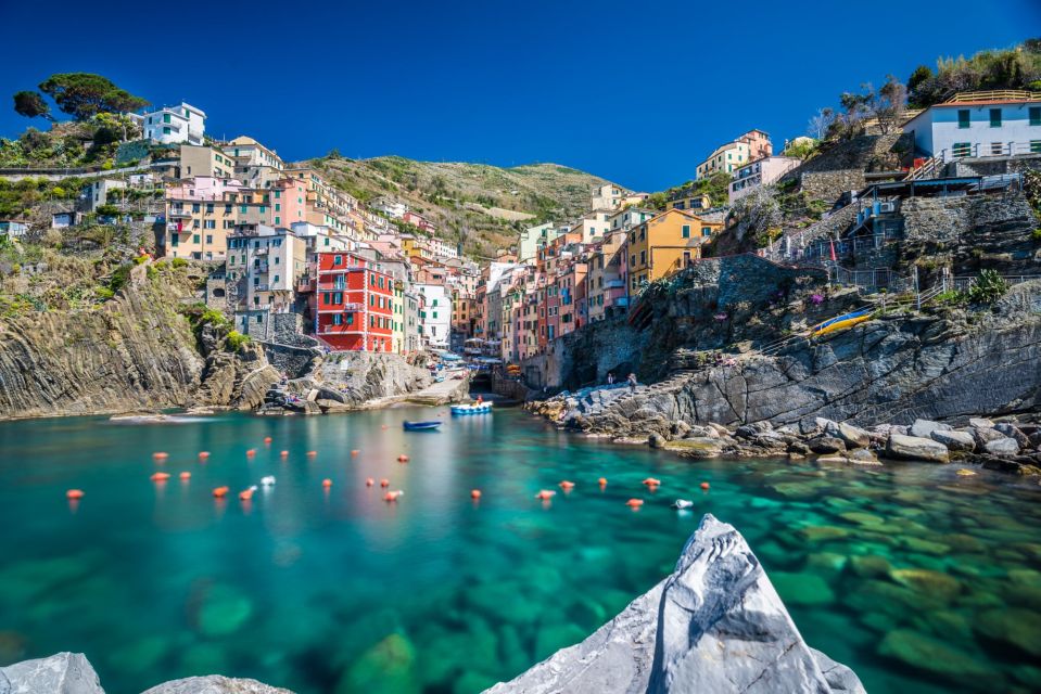 Private 8-Hour Tour From Livorno Cruise Port to Cinque Terre - Inclusions