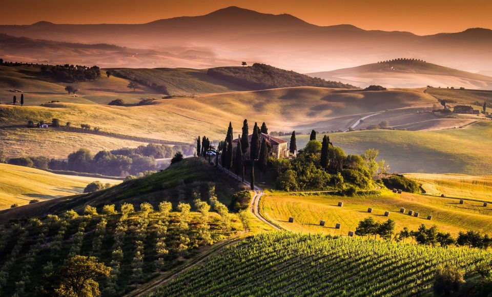 Private Full-Day Brunello Wine Tour of Montalcino - Tour Description