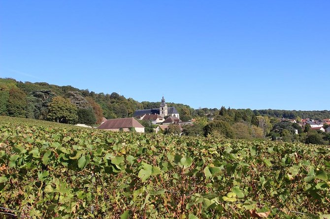 Private Full-Day Tour of Champagne Region - Champagne Producers Visits