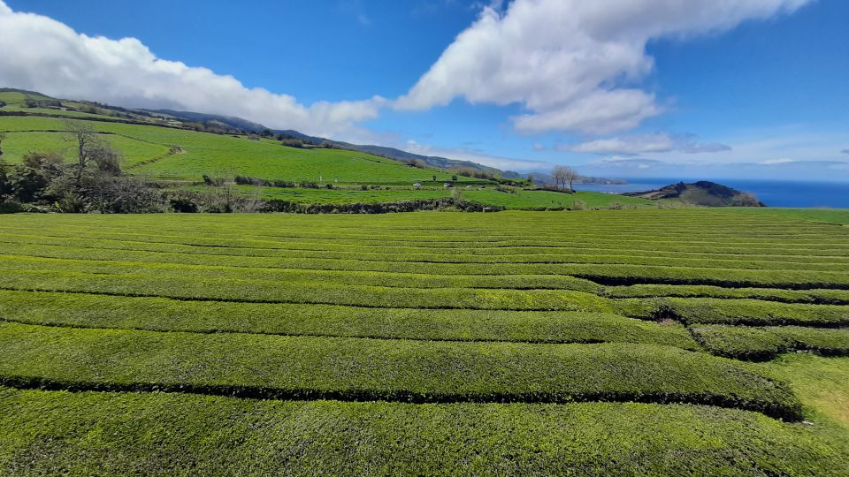 Private Full Day Tour to Furnas With Lunch - Not Suitable For