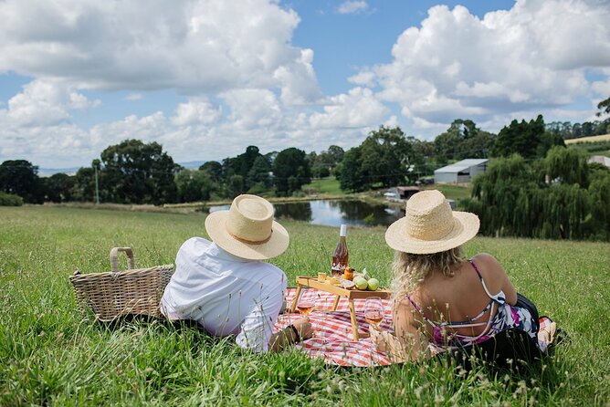 Private Picnic Lunch Experience in Orange With Wine - Wine Selection and Tasting