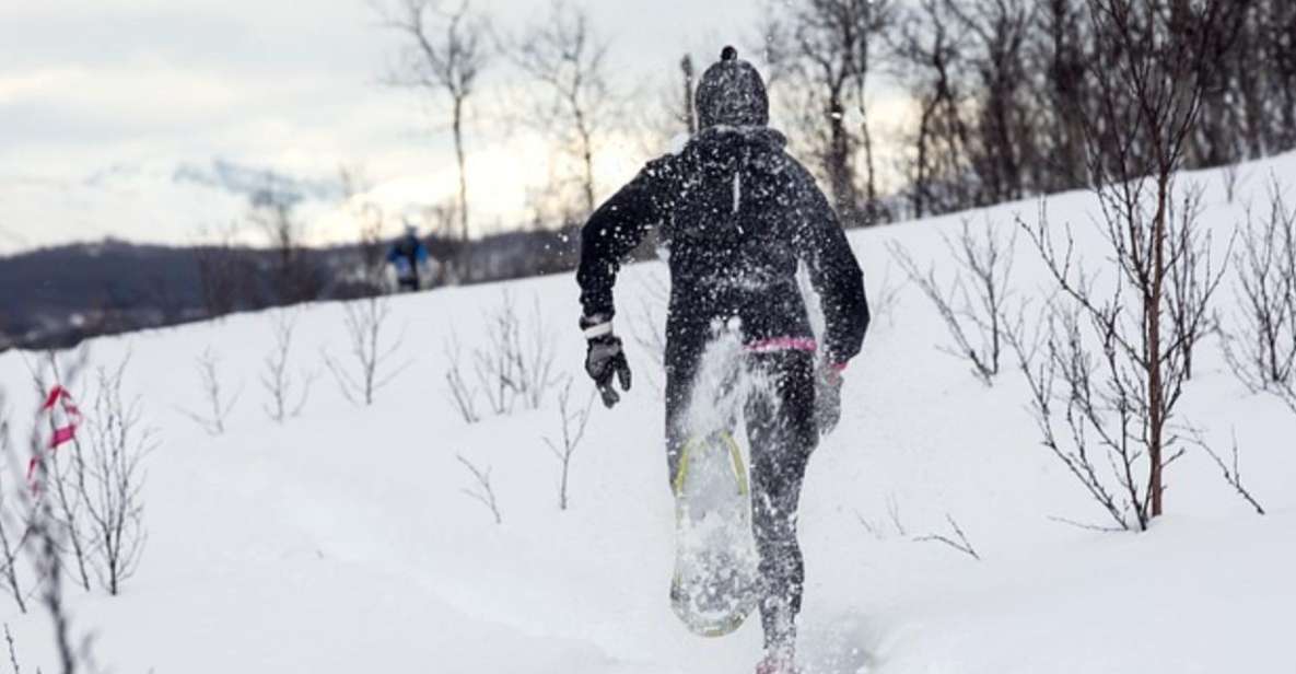 Private Snowshoeing Full Day - Language Options