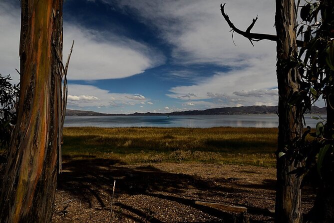 Private Tiwanaku and Titicaca Day Trip From La Paz - Pricing and Booking Information