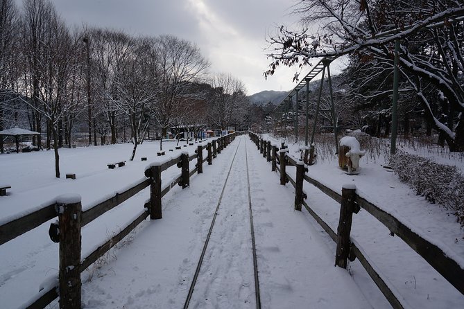 [Private Tour] Organic Strawberry Farm & Nami Island & Petite France - Pickup and Meeting Points