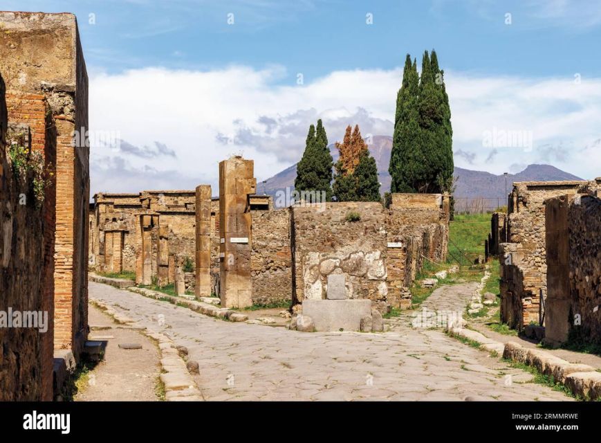 Private Tour Pompeii+Mont. Vesuvius - Itinerary Highlights