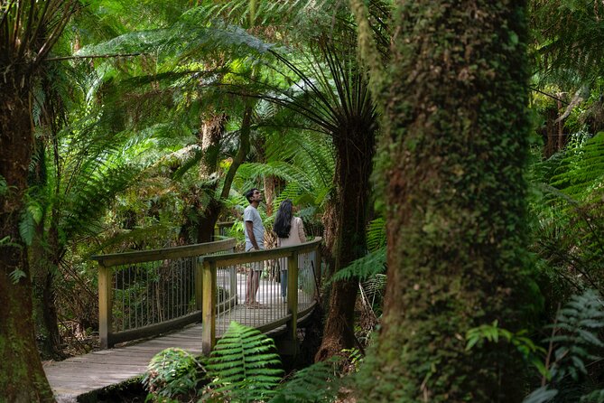 Private Two Day Great Ocean Road Tour - What to Expect and Prepare