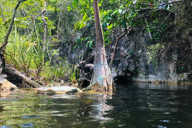 Riviera Maya: Four Cenotes Tour  - Cancun - Customer Reviews and Ratings