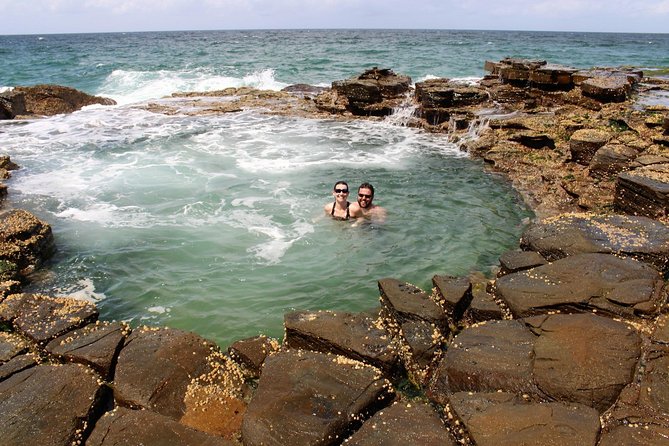 Royal National Park Tour - Wildlife Encounters and Feeding