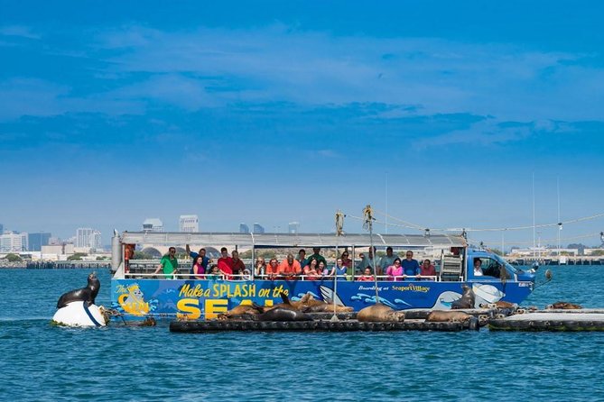 San Diego Shore Excursion: San Diego Seal Tour - Pricing and Booking Information