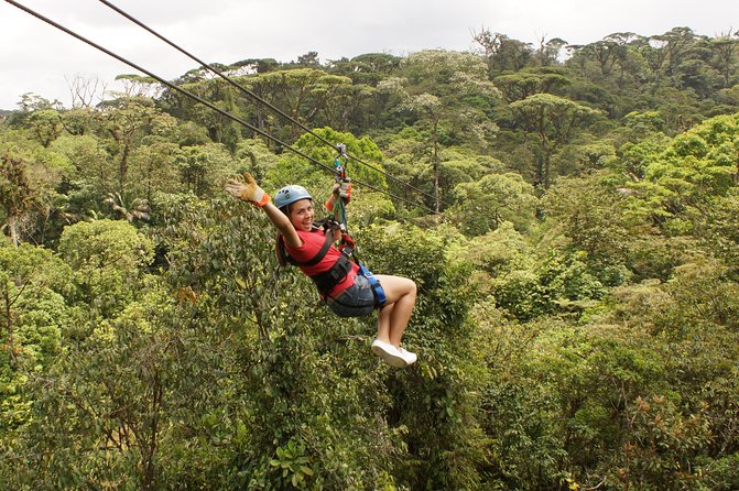 San Jose Rainforest Adventures With Zipline and Canopy Gondola - Visitor Feedback and Recommendations